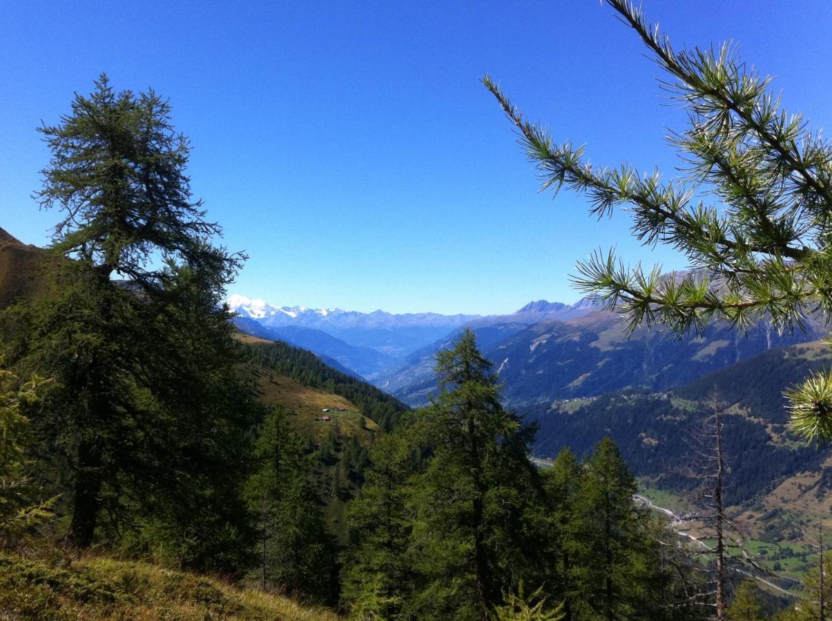 Chalet Truffer Ulrichen